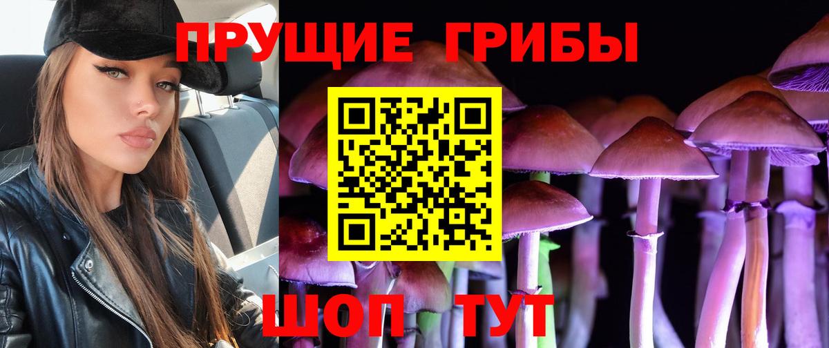 Галлюциногенные грибы Cubensis  Вход с VPN  Ярославль 
